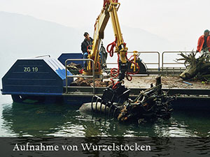 Bild8