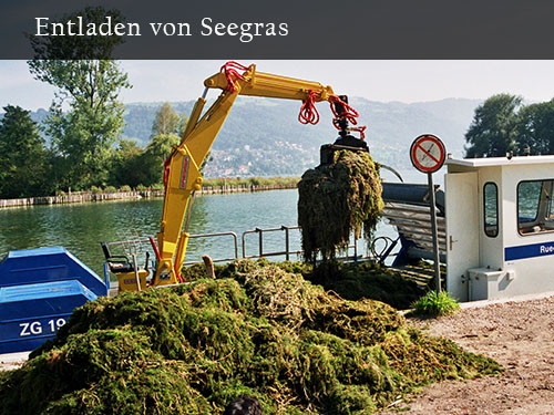 Bild5