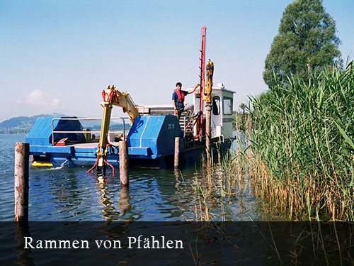 Bild7